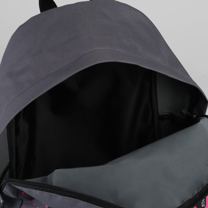 Рюкзак молодёжный "Чёрная кошка", отдел на молнии, наружный карман, цвет серый