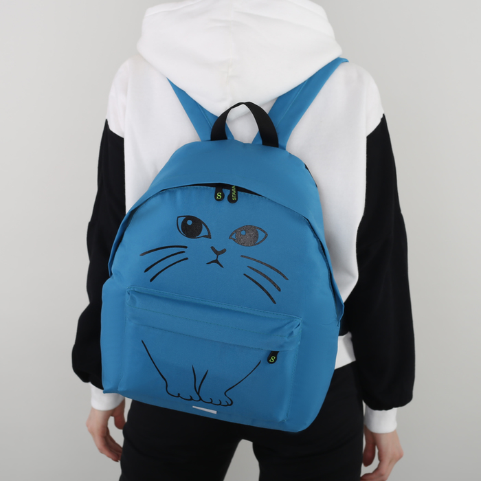 Рюкзак молодёжный "Кот", отдел на молнии, наружный карман, цвет голубой