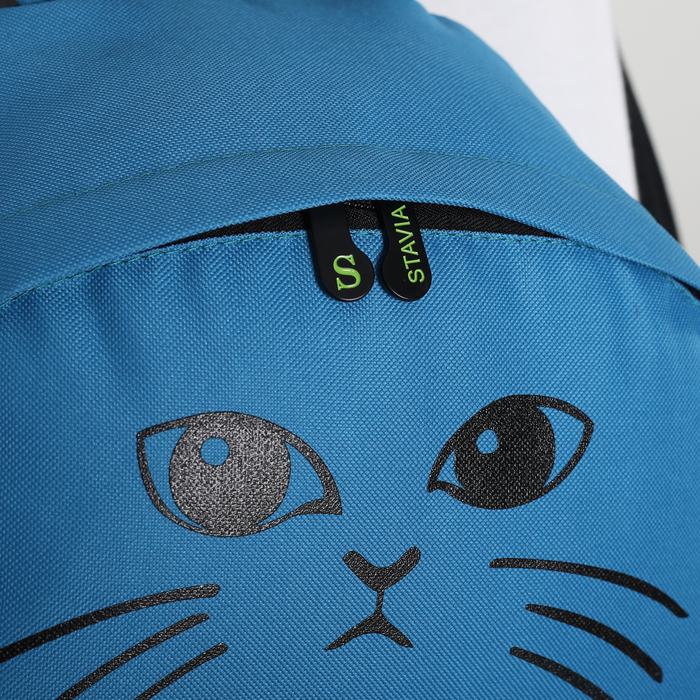 Рюкзак молодёжный "Кот", отдел на молнии, наружный карман, цвет голубой