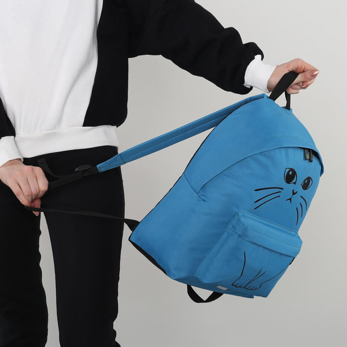 Рюкзак молодёжный "Кот", отдел на молнии, наружный карман, цвет голубой