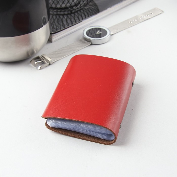 Визитница вертикальная, 1 ряд, 16 листов, гладкая шора, цвет красный