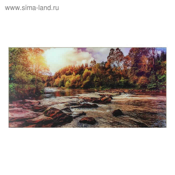 

Картина "Природная красота" 50*100 см