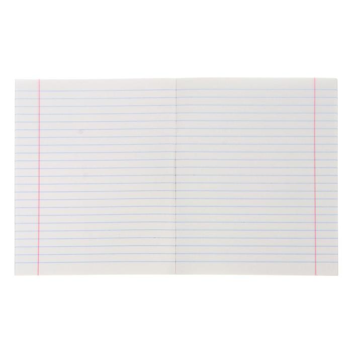 Тетрадь 24 листа линейка Calligrata "Домашние животные" обложка мелованный картон 190 г/м2, 5 видов МИКС