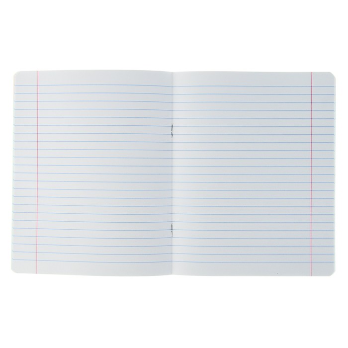 Тетрадь 24 листа линейка Calligrata "Смайлы" обложка мелованный картон 190 г/м2, 5 видов МИКС