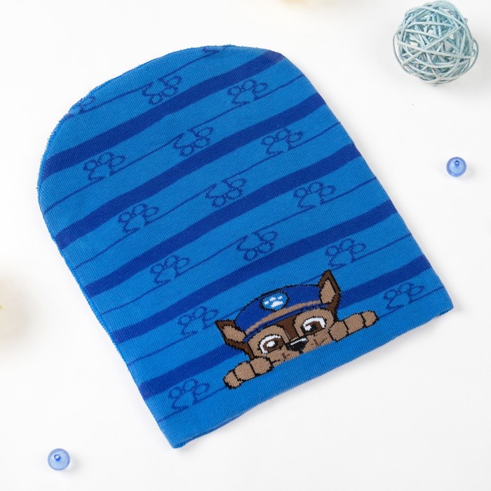 Щенячий патруль. Шапка и шарф в наборе "Гончик", синий, р.54, PAW PATROL