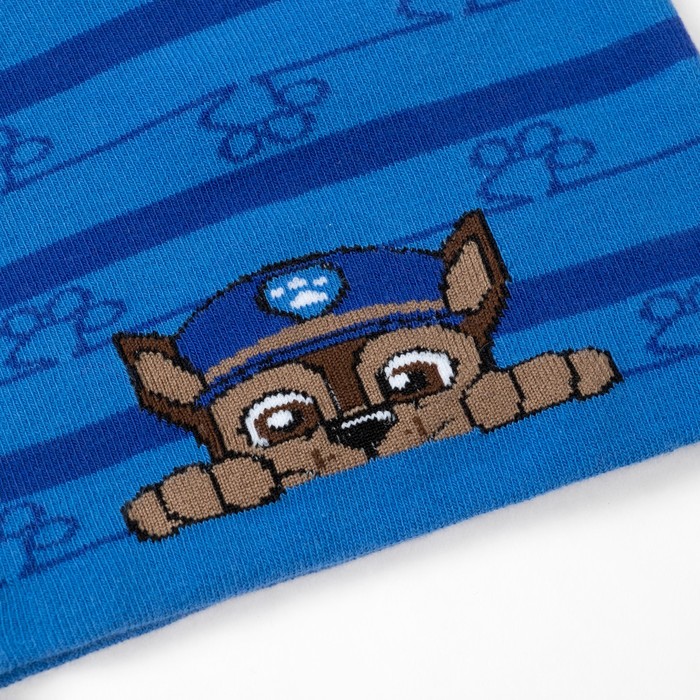 Щенячий патруль. Шапка и шарф в наборе "Гончик", синий, р.54, PAW PATROL