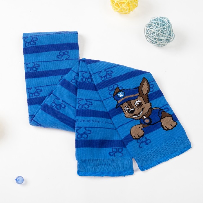 Щенячий патруль. Шапка и шарф в наборе "Гончик", синий, р.54, PAW PATROL