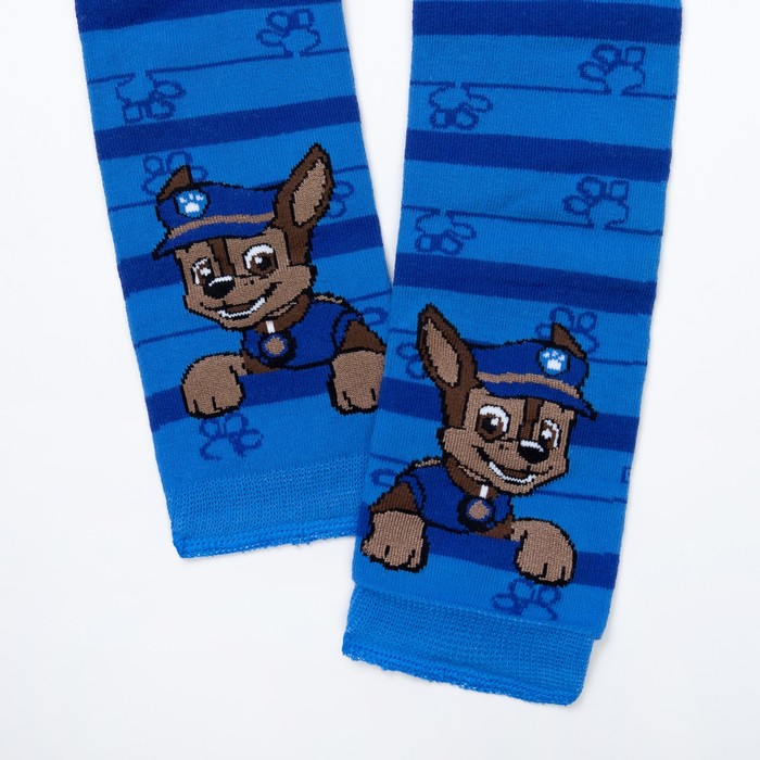 Щенячий патруль. Шапка и шарф в наборе "Гончик", синий, р.54, PAW PATROL