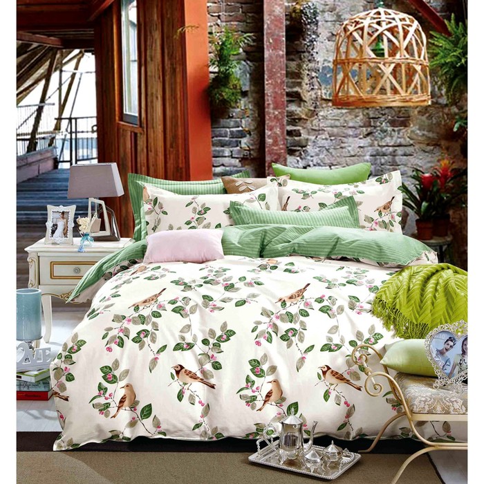 КПБ евро, 230х250 см, 200х220 см, 50х70 см, 70х70 см по 2 шт., сатин TPIG6-249