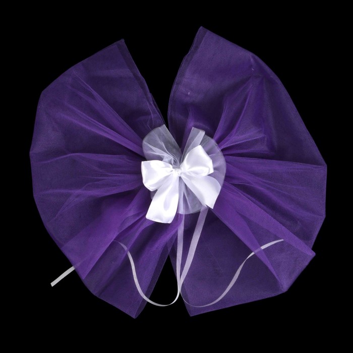 Набор на авто "№5", фиолет