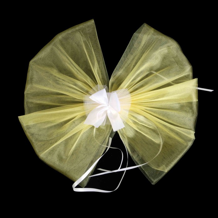 Комплект на авто №5, жёлтый