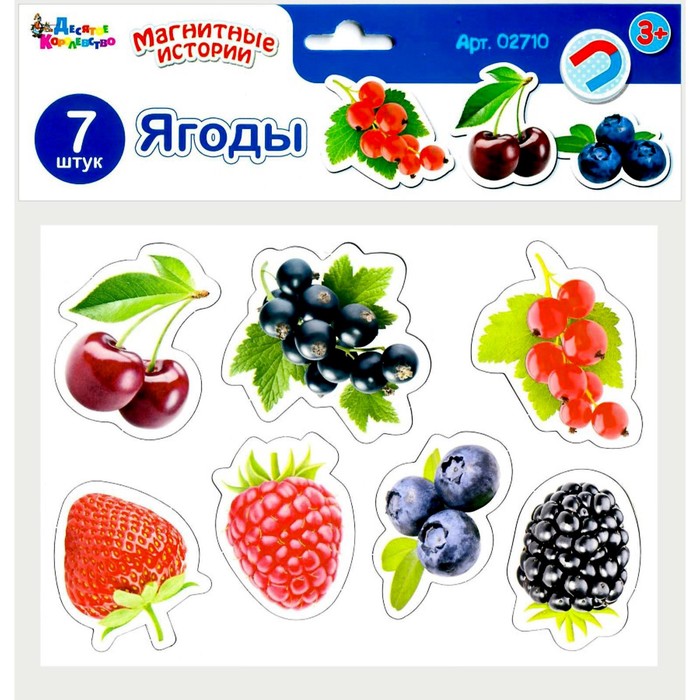 

Магниты «Ягоды»