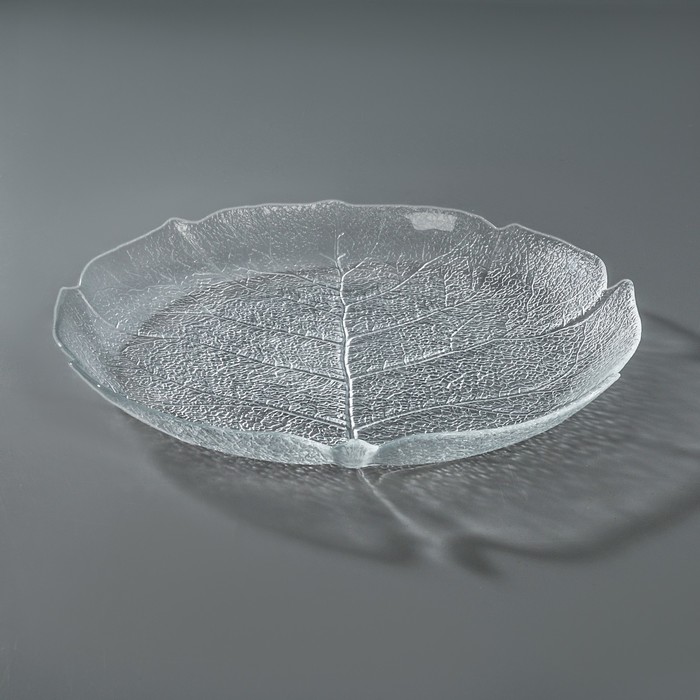 Тарелка обеденная 24 см "Форест"