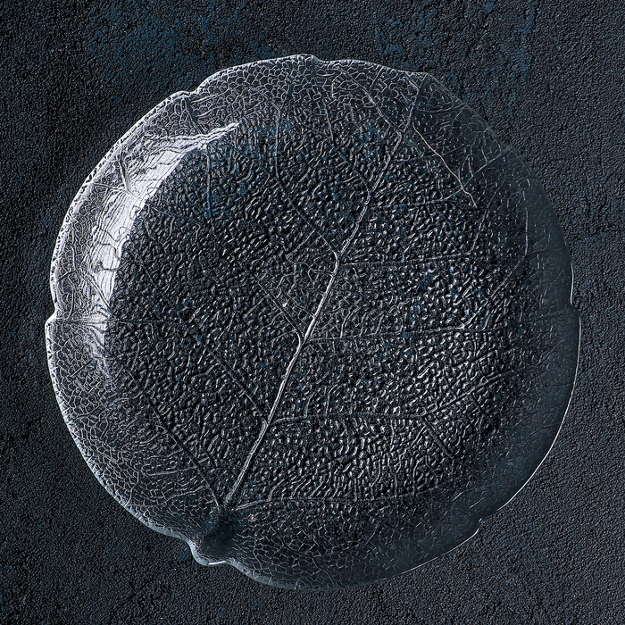 Тарелка десертная 19 см "Форест"