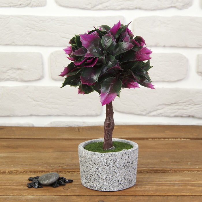 Бонсай "Остролист" 8*8*22 см МИКС