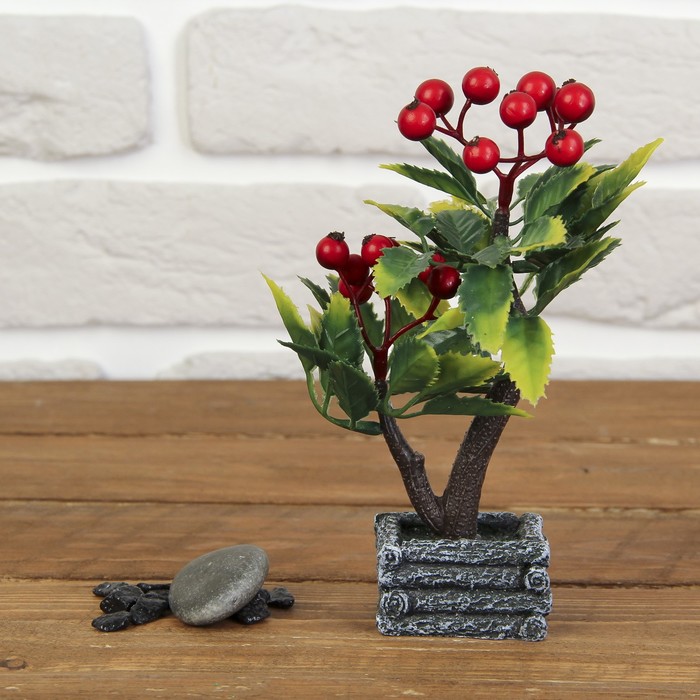 Бонсай "Снежноягодник" 4*5,5*14 см МИКС