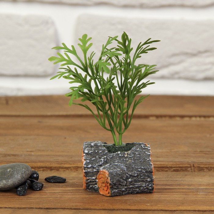 Бонсай "Зелень на вехе" 3,5*5*8 см МИКС