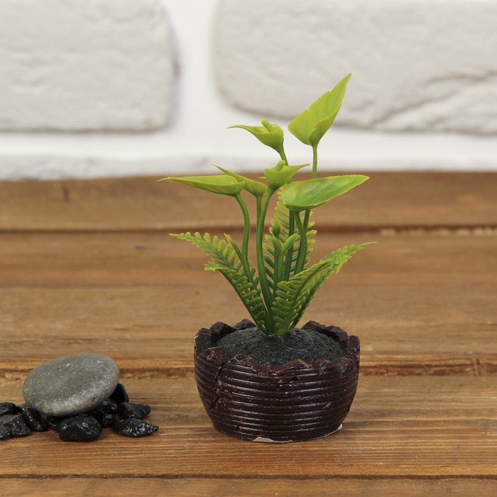 Бонсай "Листья с папоротником в горшке" 5,5*9 см МИКС