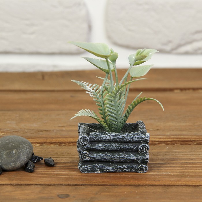 Бонсай "Листья с папоротником" 4*5*8 см МИКС