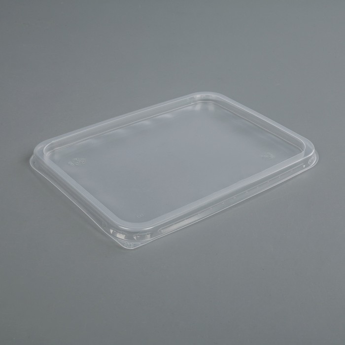 Крышка для плоского контейнера 179х132х8 мм "Алькор"