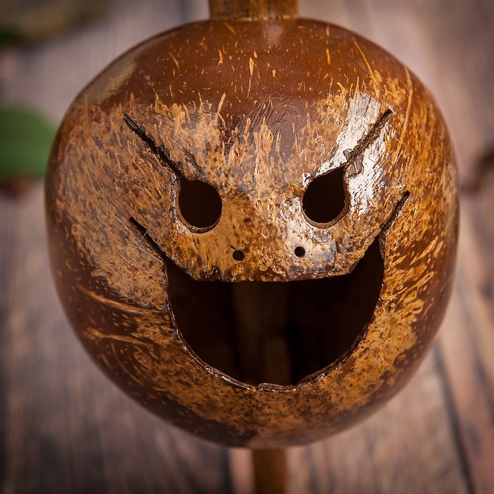 Музыкальный инструмент "Тайская скрипка" 37х2,5х2,5 см