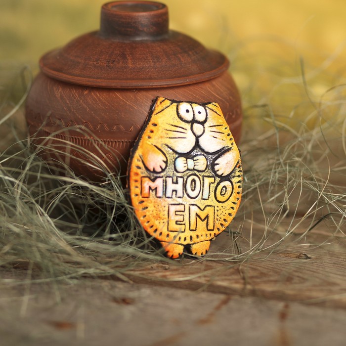 Магнит из керамики "Много ем"