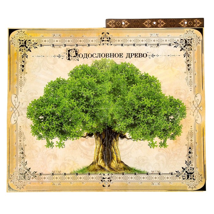 Родословная фотокнига "Семейная летопись" УЦЕНКА (замятие коробки)