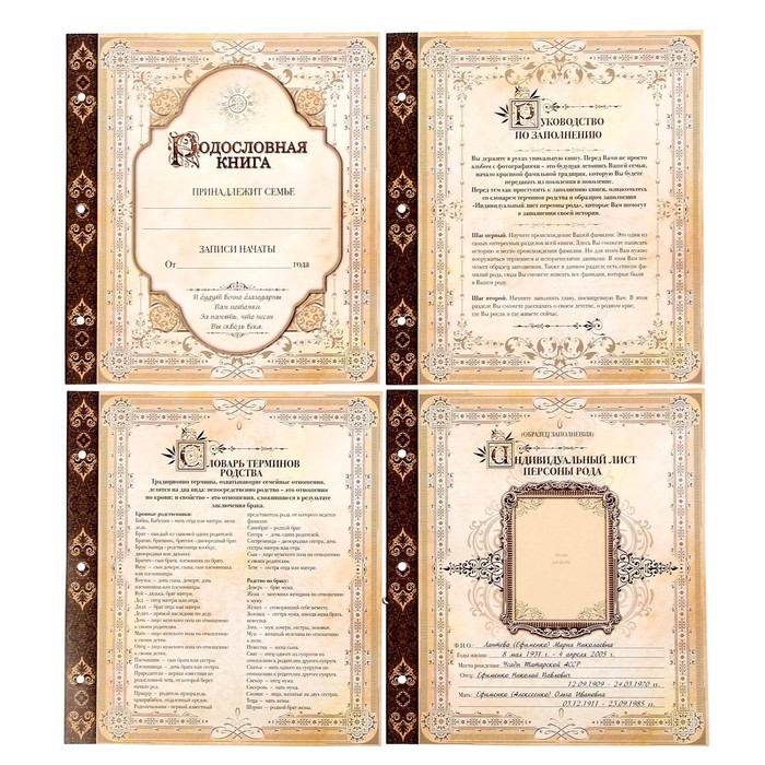 Родословная фотокнига "Семейная летопись" УЦЕНКА (замятие коробки)