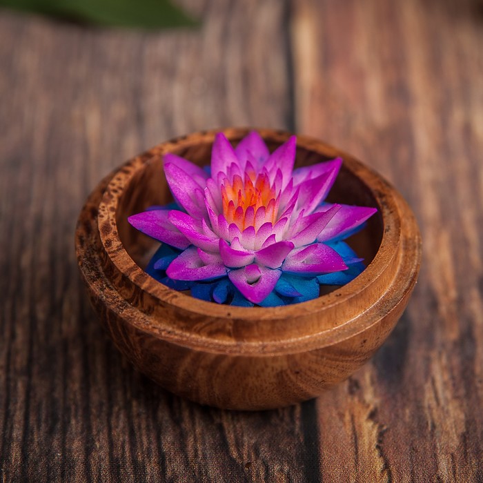 Аромамыло в шкатулке "Слоник в цветах" 6.5х6,5х6 см