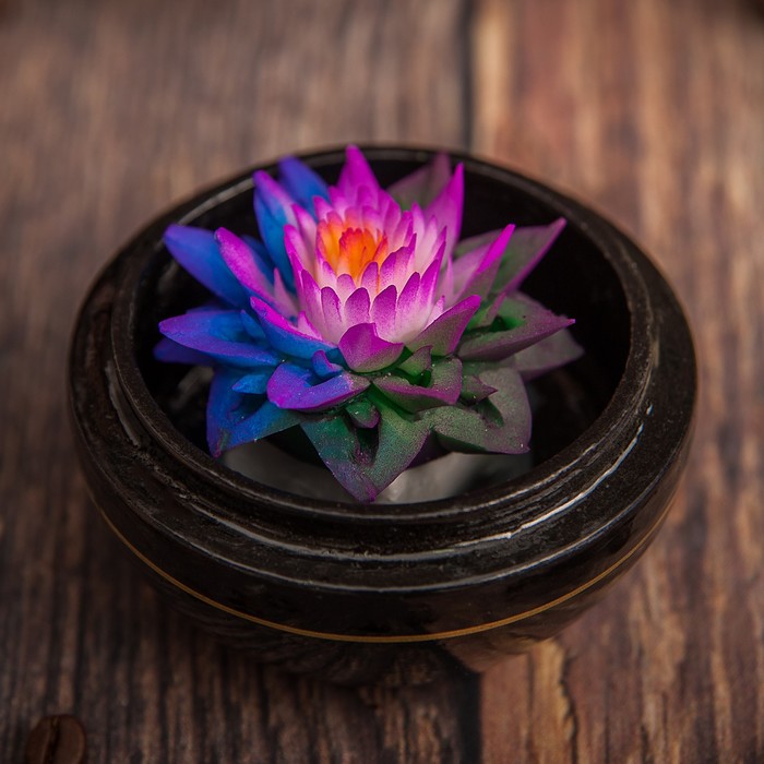 Аромамыло в шкатулке "Слон" 8х8х7 см