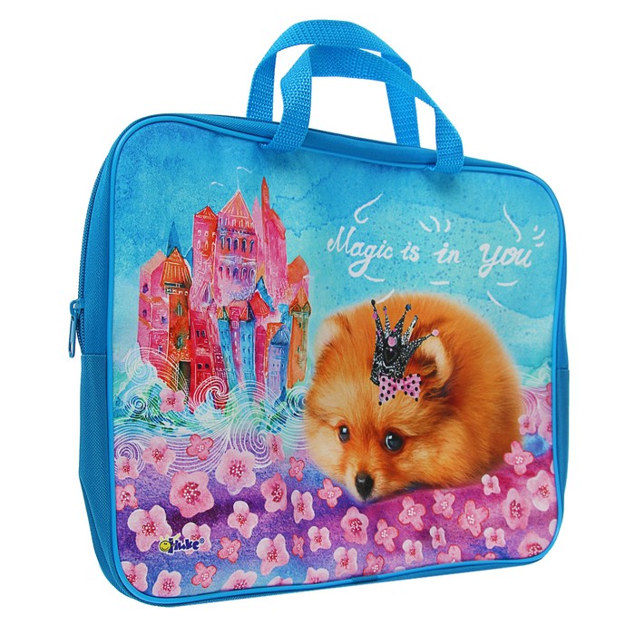 Папка с ручками текстиль А4 45мм 350*265 ПМД 2-20 дев "Принцесса шпиц" (ручк-тесьм)