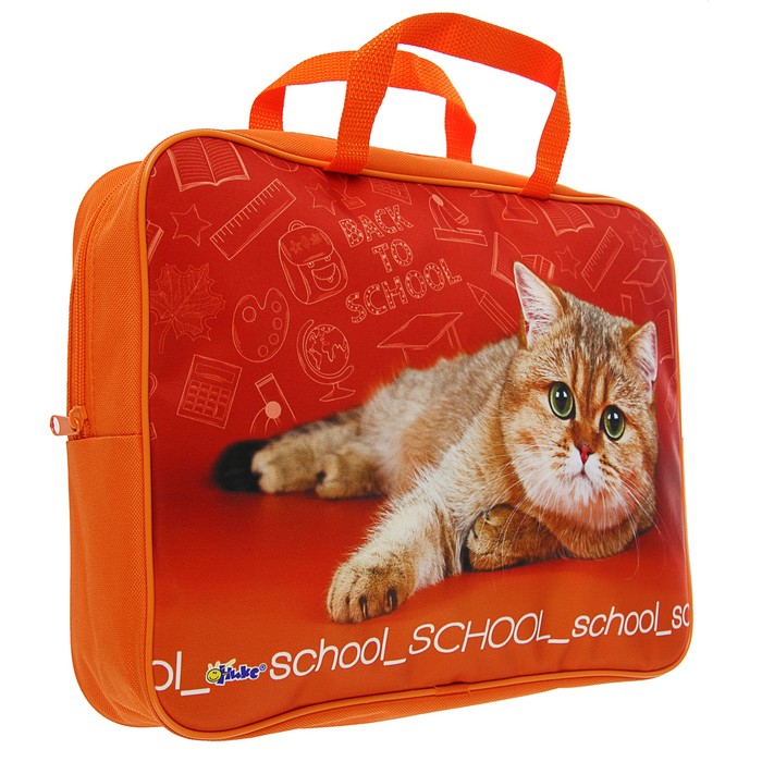 Папка с ручками текстиль А4 80мм 350*265 ПМД 4-20 дев School cat (ручка-тесьма) 55017