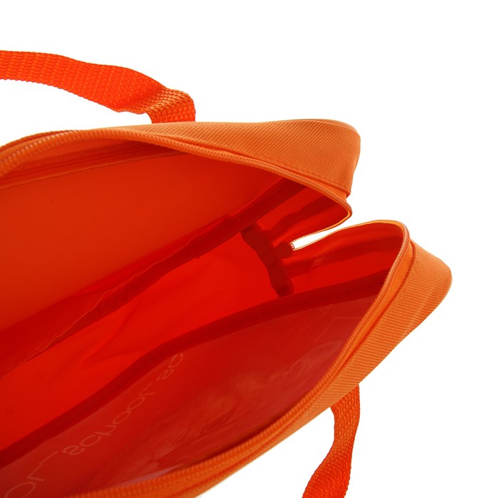 Папка с ручками текстиль А4 80мм 350*265 ПМД 4-20 дев School cat (ручка-тесьма) 55017