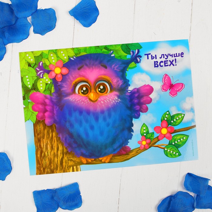 Аппликация лепестками "Ты лучше всех!", сова