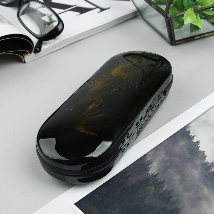 Футляр для очков "Кот", хлопушка, цвет чёрный