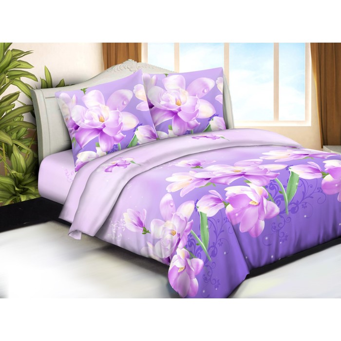 КПБ евро, 215х240 см, 200х215 см, 70х70 см-2 шт., бязь 125 г/м2 5580