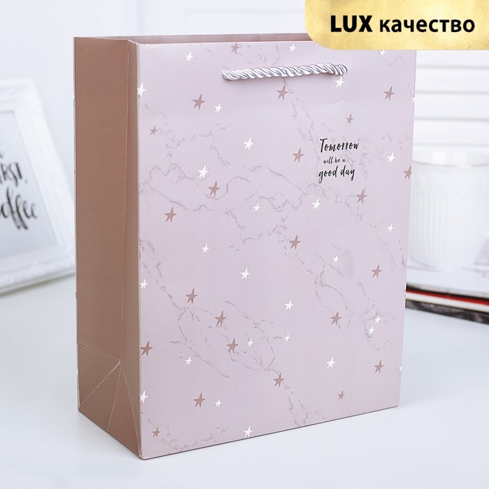 Пакет подарочный "Звёзды", люкс, 19,5 х 9,5 х 24,5 см