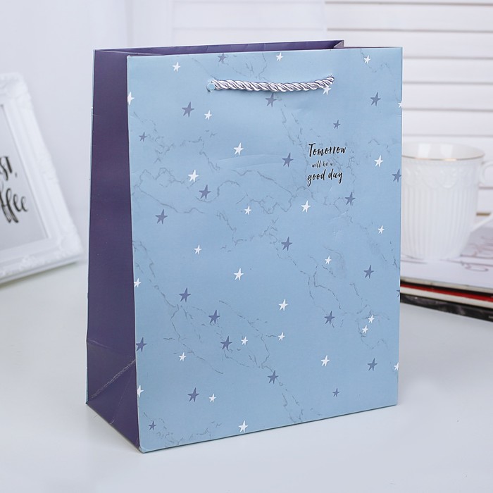 Пакет подарочный "Звёзды", люкс, 25,5 х 12,5 х 33 см