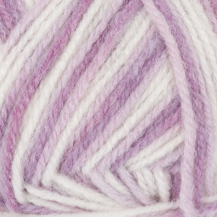 Пряжа "Подмосковная" 50% шерсть, 50% акрил 250м/100гр (4064 секционная)