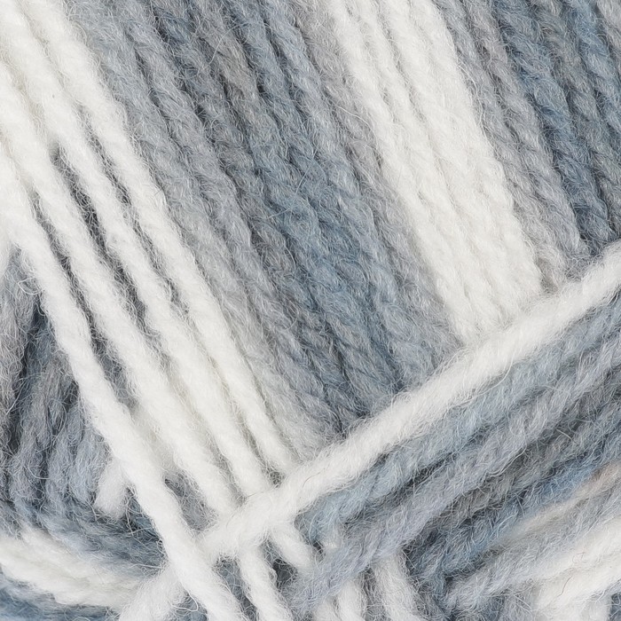 Пряжа "Подмосковная" 50% шерсть, 50% акрил 250м/100гр (4219 секционный)