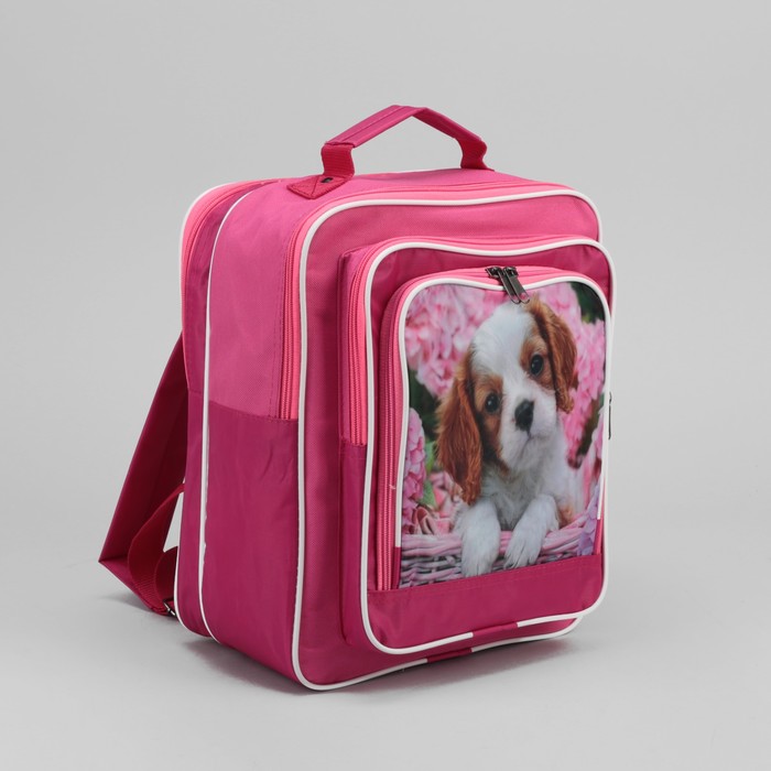 Рюкзак школьный "Собачка", отдел на молнии, 2 наружных кармана