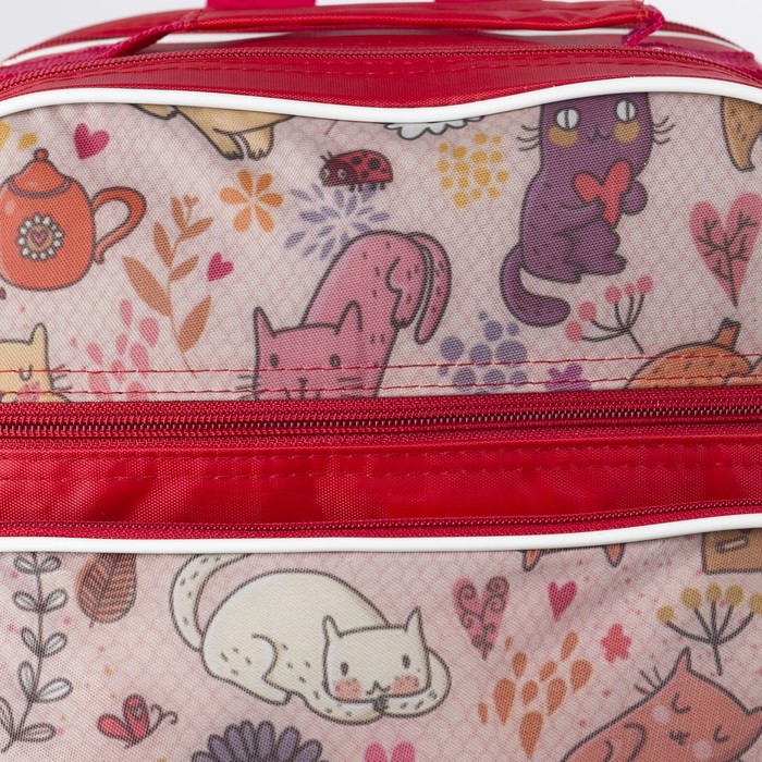 Рюкзак школьный "Корабль", 2 отдела на молнии, 2 наружных кармана