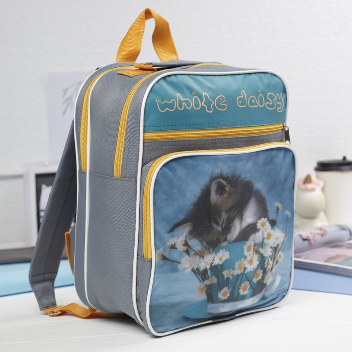 Рюкзак школьный "Спящий котёнок", 2 отдела на молнии, 2 наружных кармана