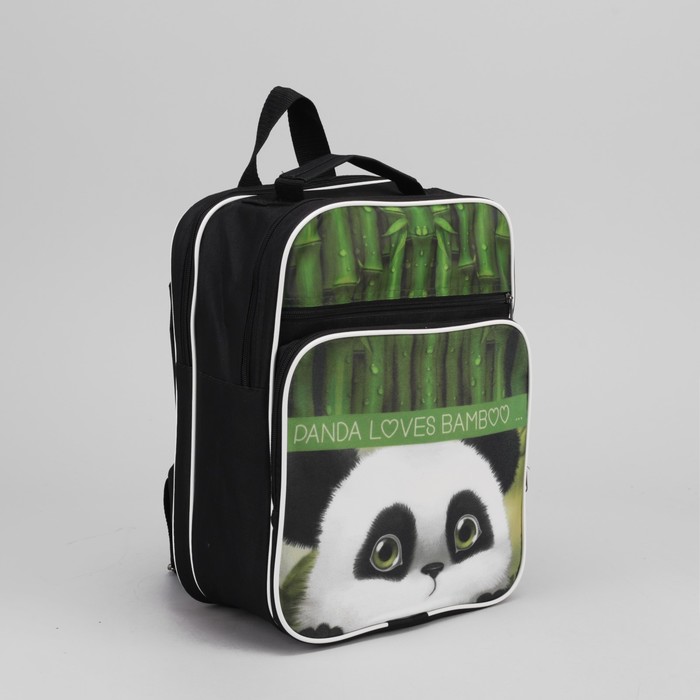 Рюкзак школьный "Панда", 2 отдела на молнии, 2 наружных кармана