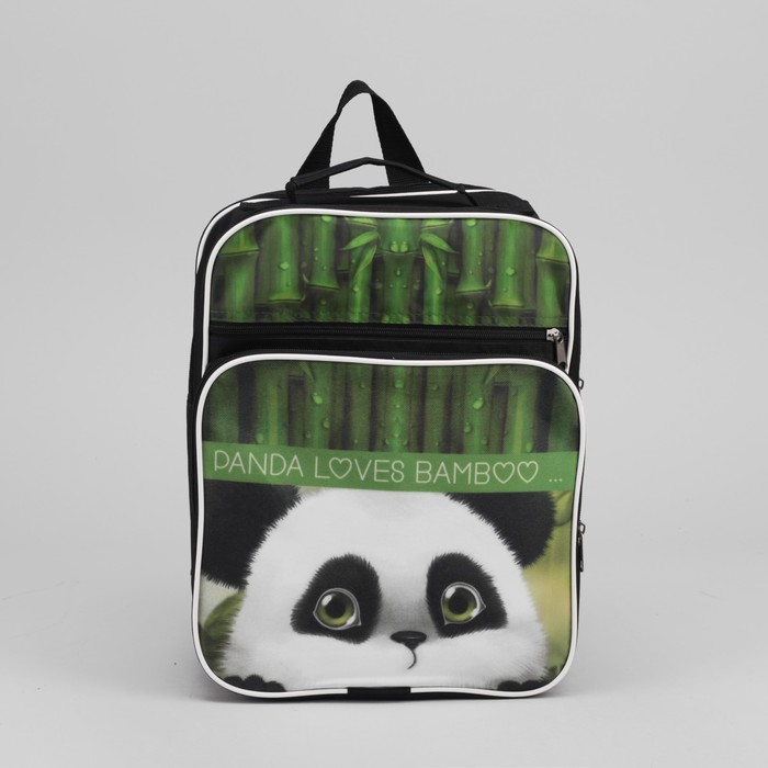 Рюкзак школьный "Панда", 2 отдела на молнии, 2 наружных кармана