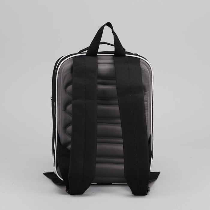 Рюкзак школьный "Панда", 2 отдела на молнии, 2 наружных кармана