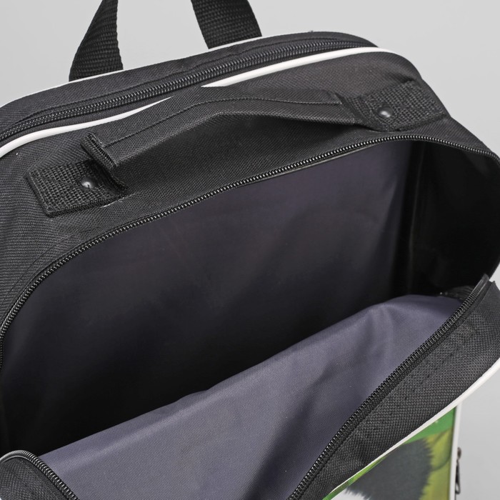 Рюкзак школьный "Панда", 2 отдела на молнии, 2 наружных кармана