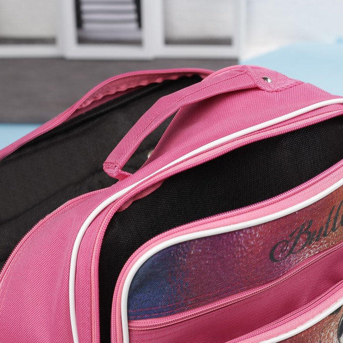 Рюкзак школьный "Бабочка", 2 отдела на молнии, 2 наружных кармана