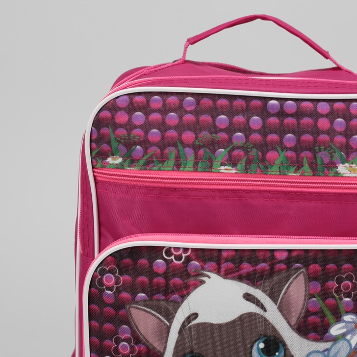 Рюкзак школьный "Котёнок", 2 отдела на молнии, 2 наружных кармана