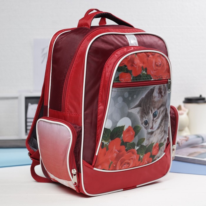 Рюкзак школьный "Котёнок", отдел на молнии, 3 наружных кармана, светоотражающий